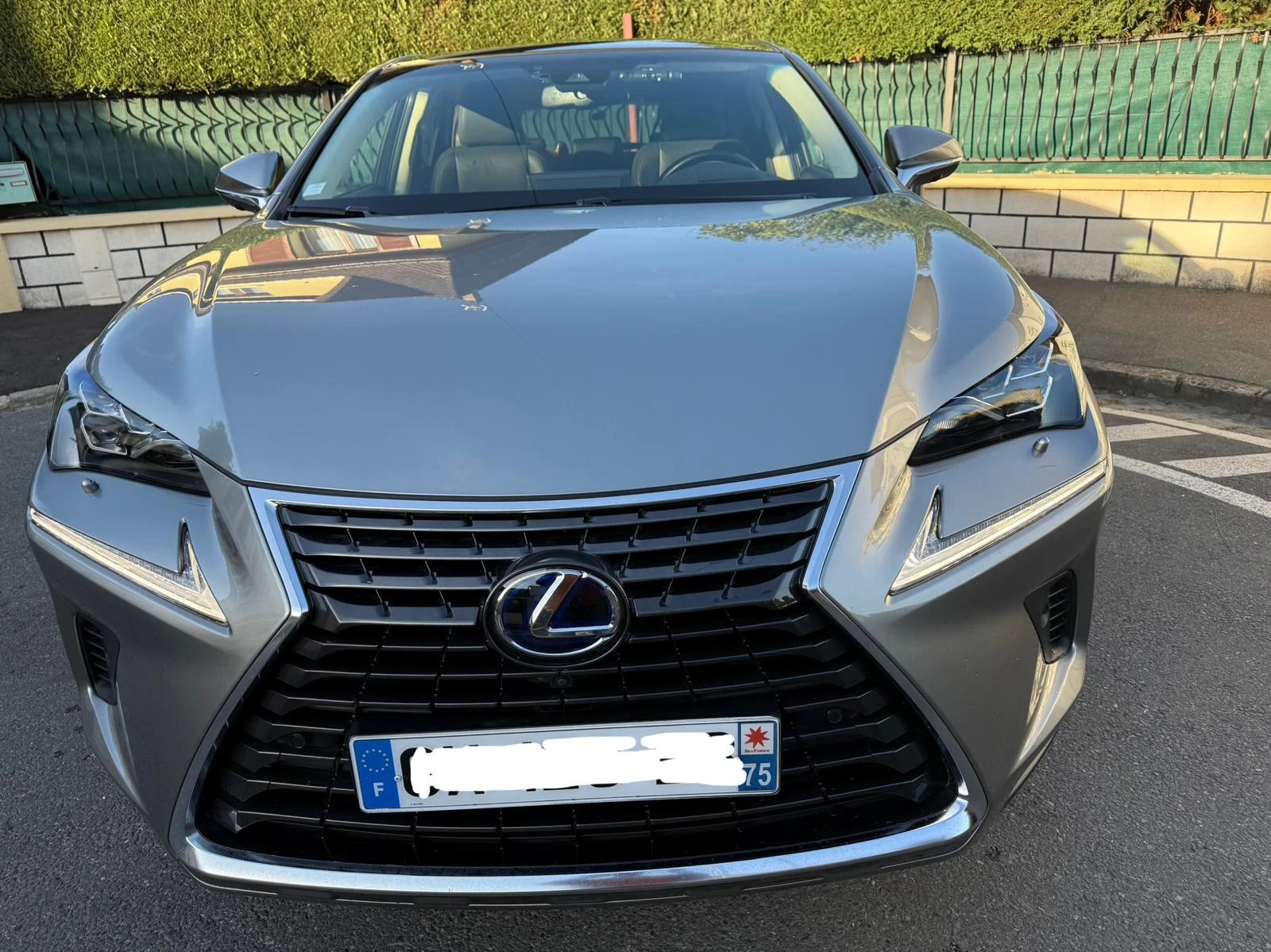 Lexus NX 300h 4WD Executive _ Full options | Mobile.bg � ����������� 1