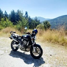     Honda Hornet CB900F