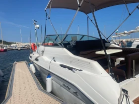    Sea Ray