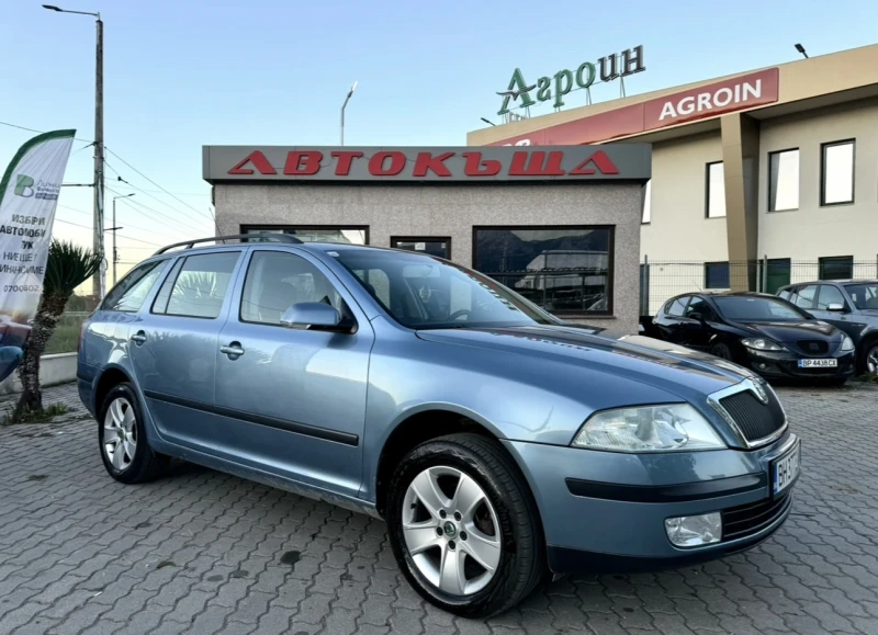 Skoda Octavia 1.9 TDI / 4x4, снимка 1 - Автомобили и джипове - 47595685