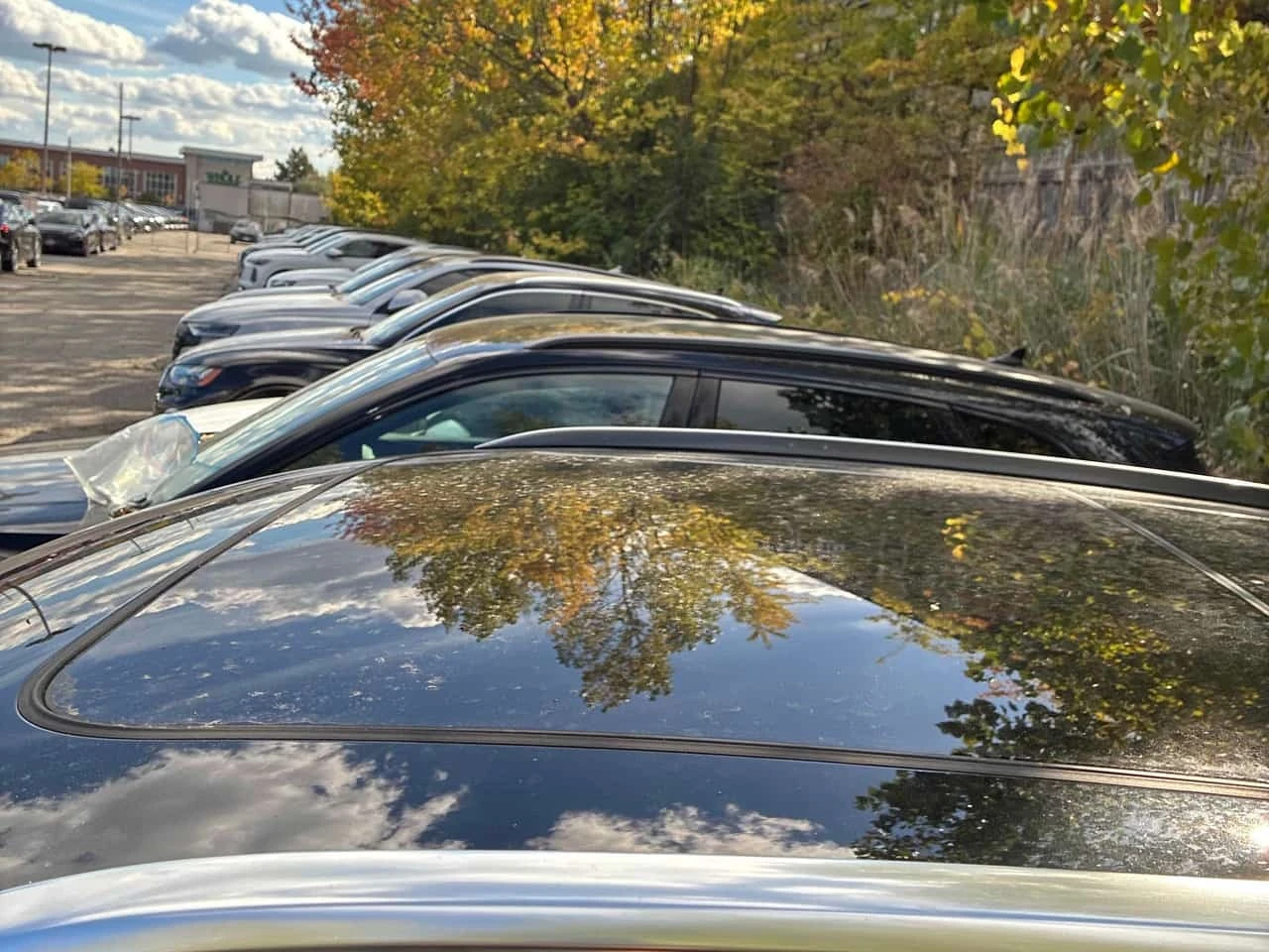 Audi Q5 * Progressiv * ������ ���������������� *  | Mobile.bg � ����������� 6