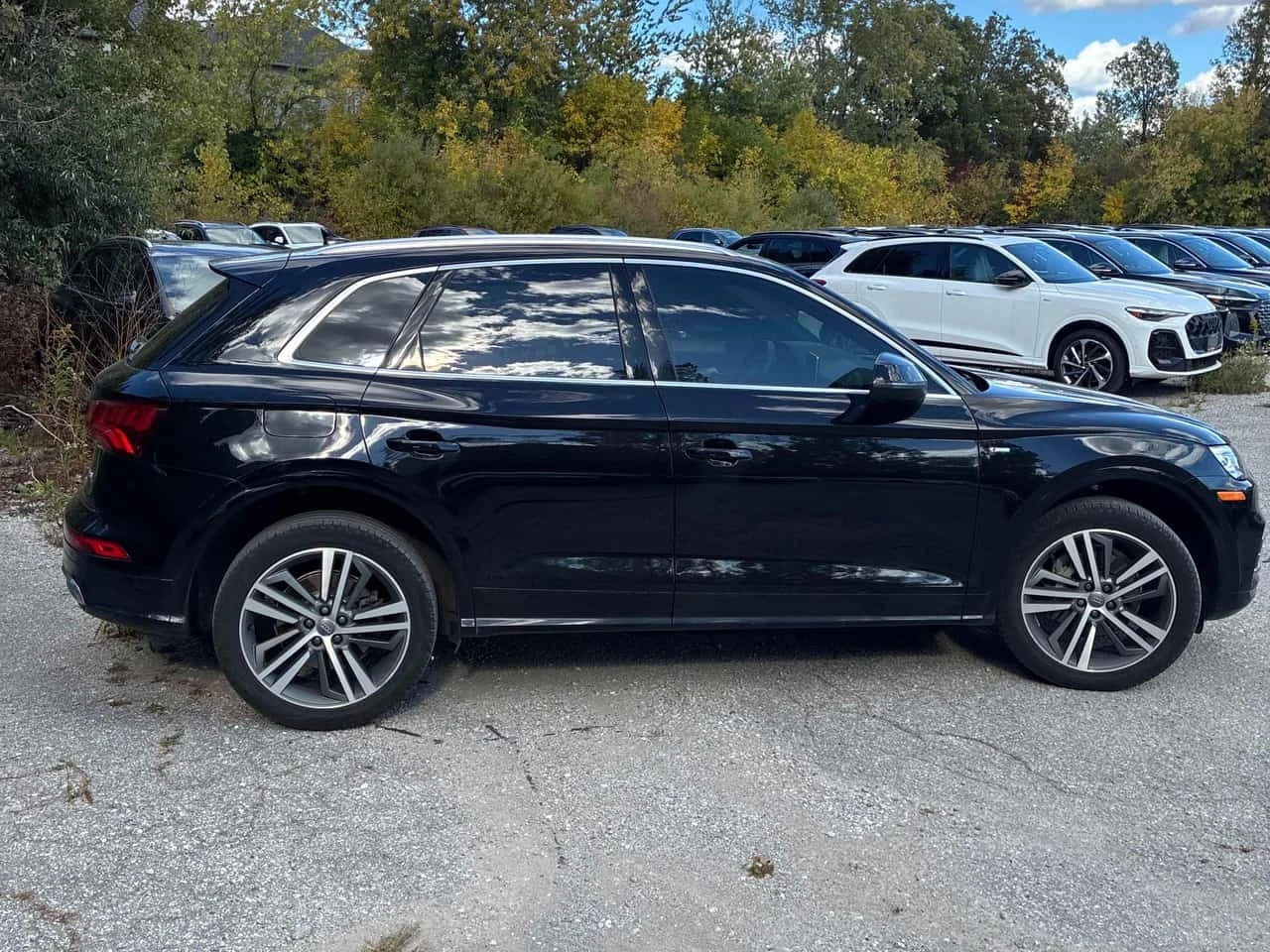 Audi Q5 * Progressiv * ������ ���������������� *  | Mobile.bg � ����������� 4