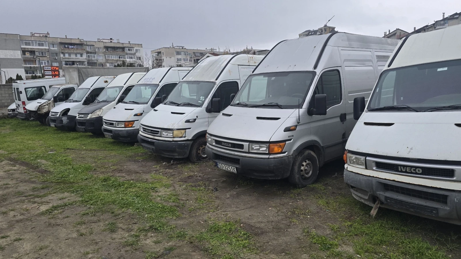 Iveco Daily 35/50C13     15 ���� | Mobile.bg � ����������� 1