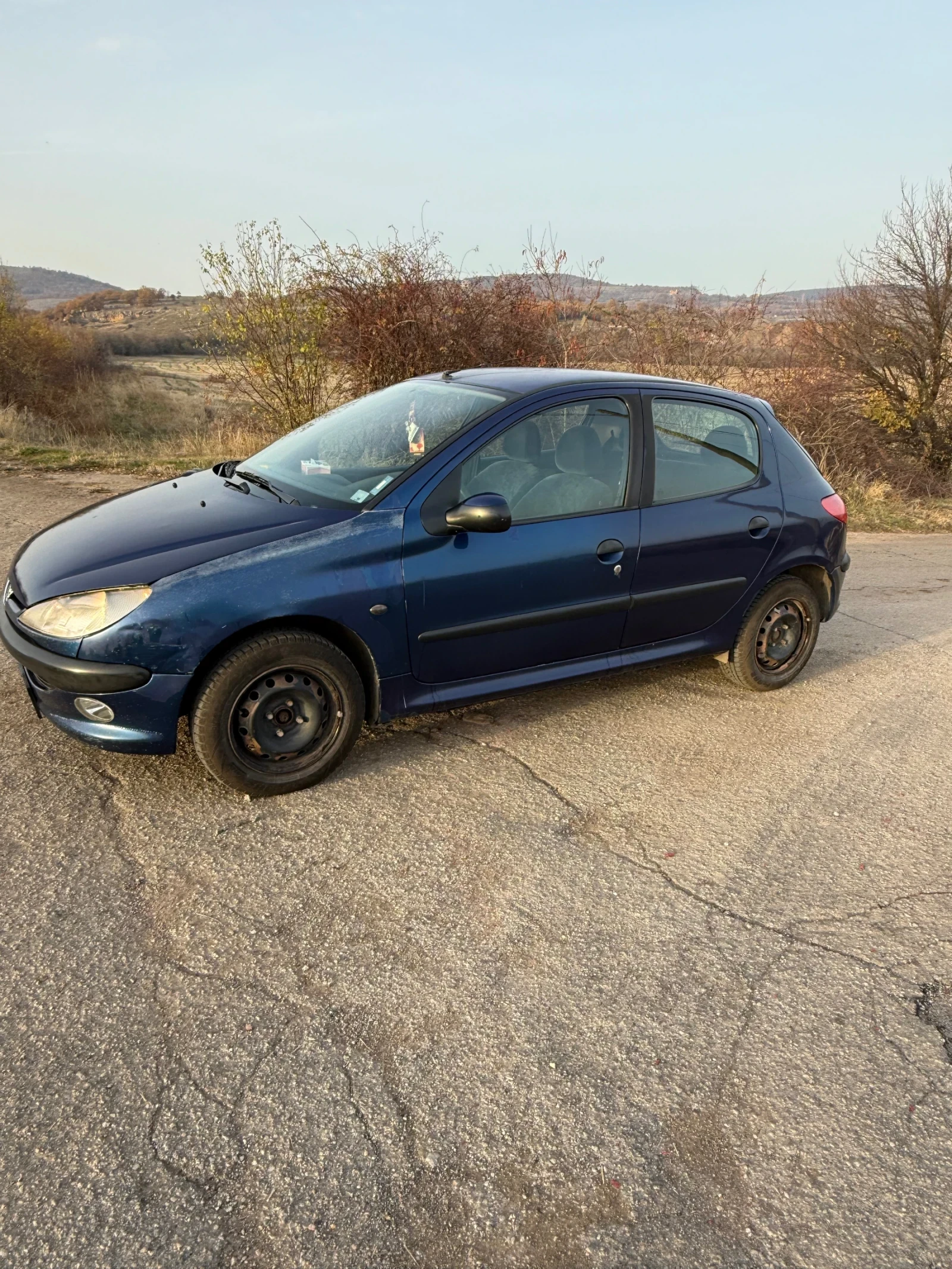 Peugeot 206  - изображение 2