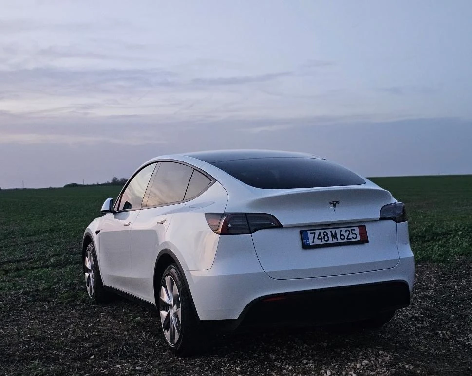 Tesla Model Y LFP Warranty EU - изображение 4