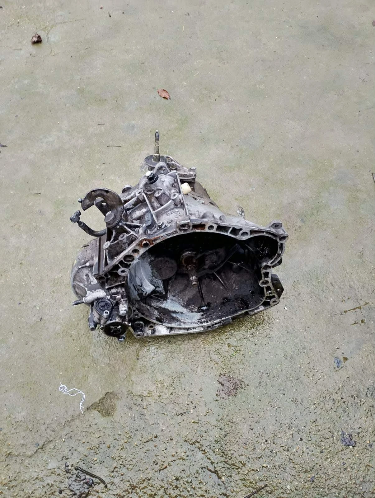    307  2000  / 109  | Mobile.bg   2