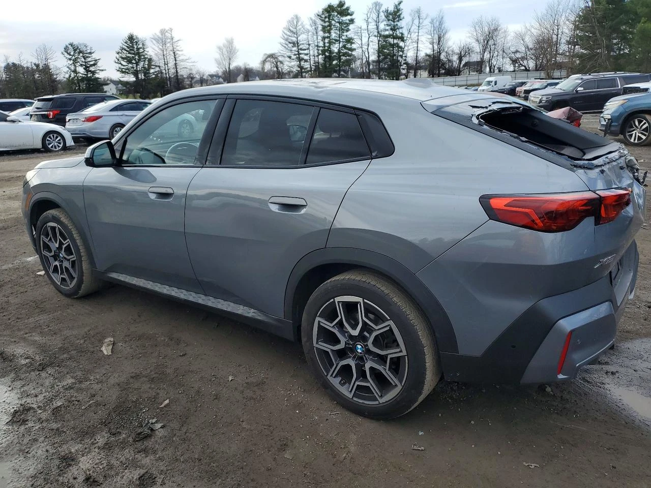 BMW X2 * X-DRIVE28I*  | Mobile.bg � ����������� 6