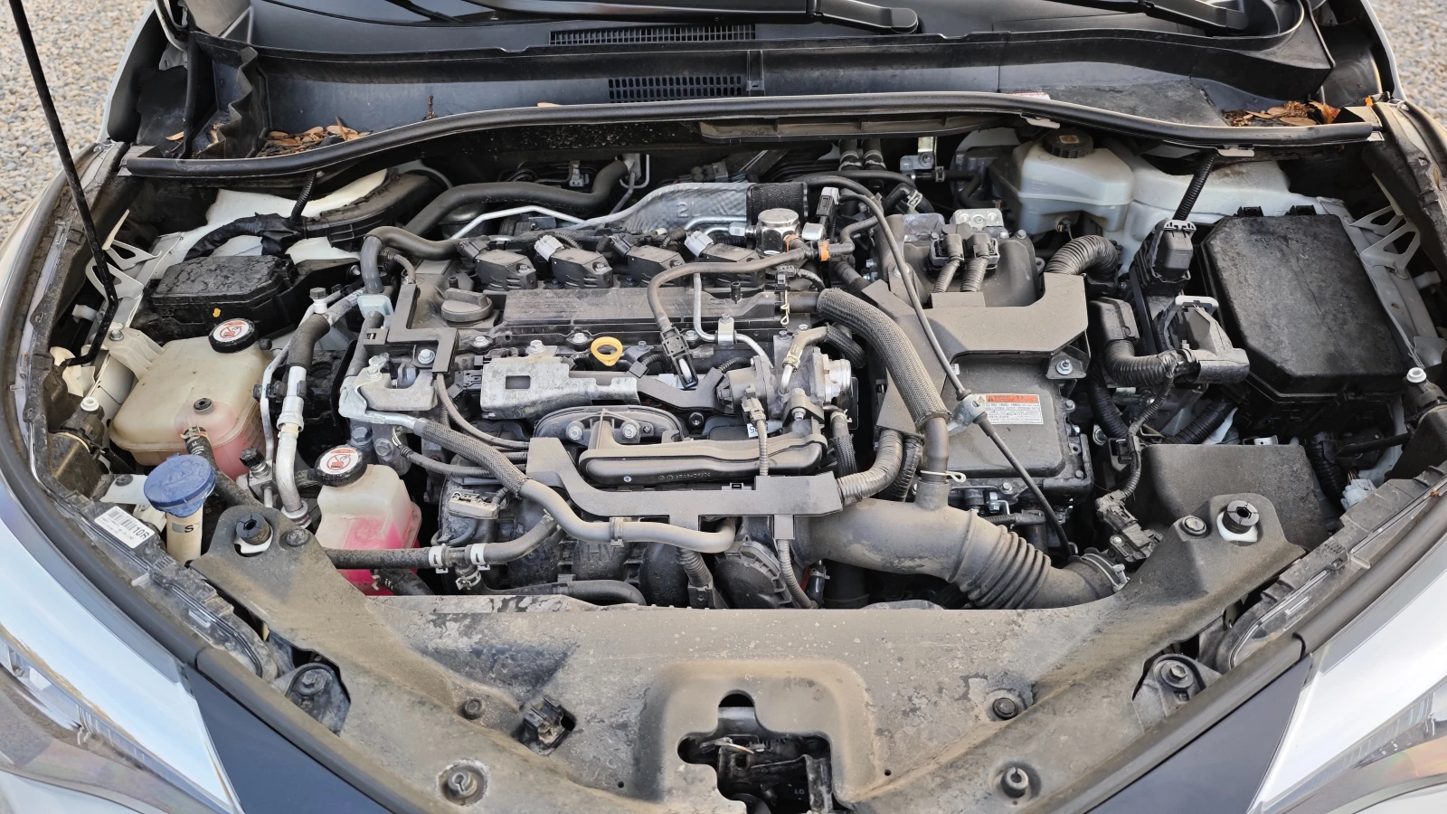 Toyota C-HR ������� ������/������ �������/������� �������� | Mobile.bg � ����������� 10