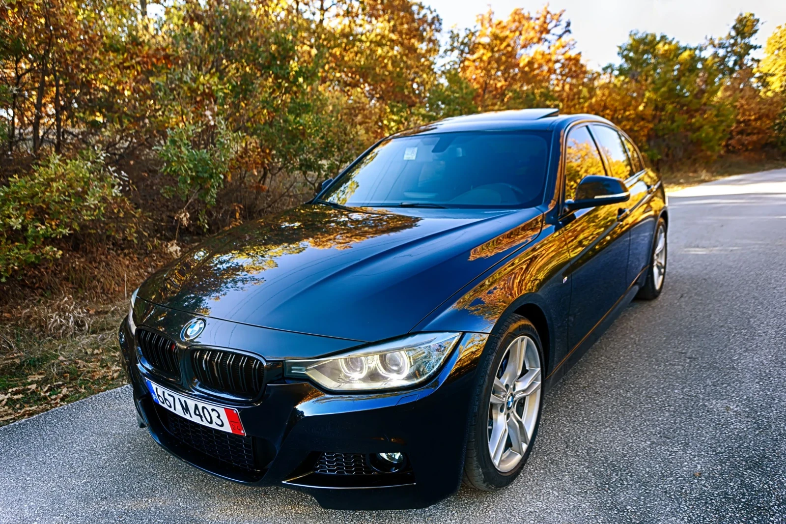 BMW 318 M-pak  - изображение 6