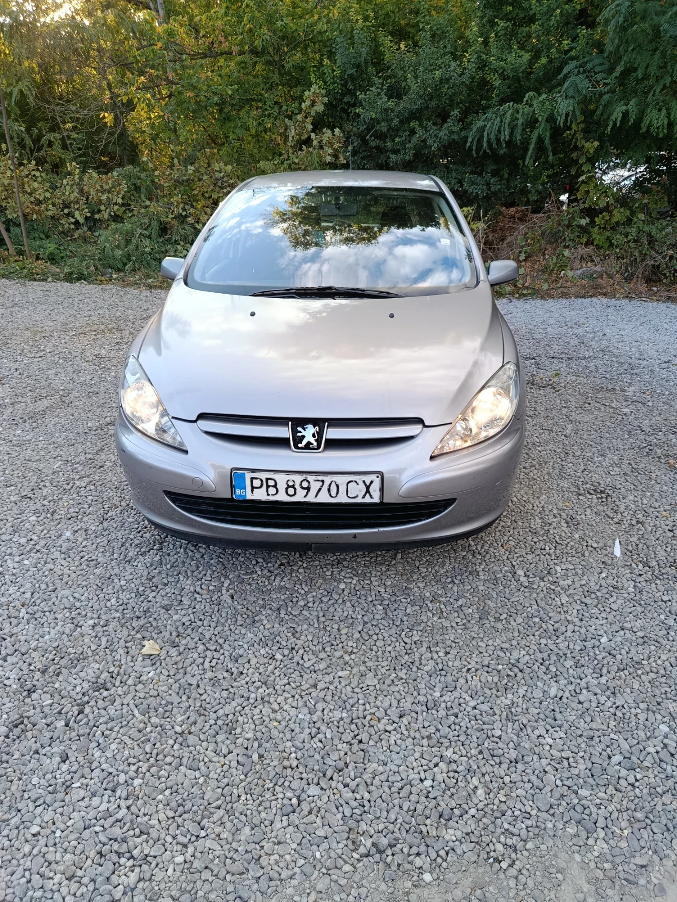 Peugeot 307, снимка 4 - Автомобили и джипове - 56319212