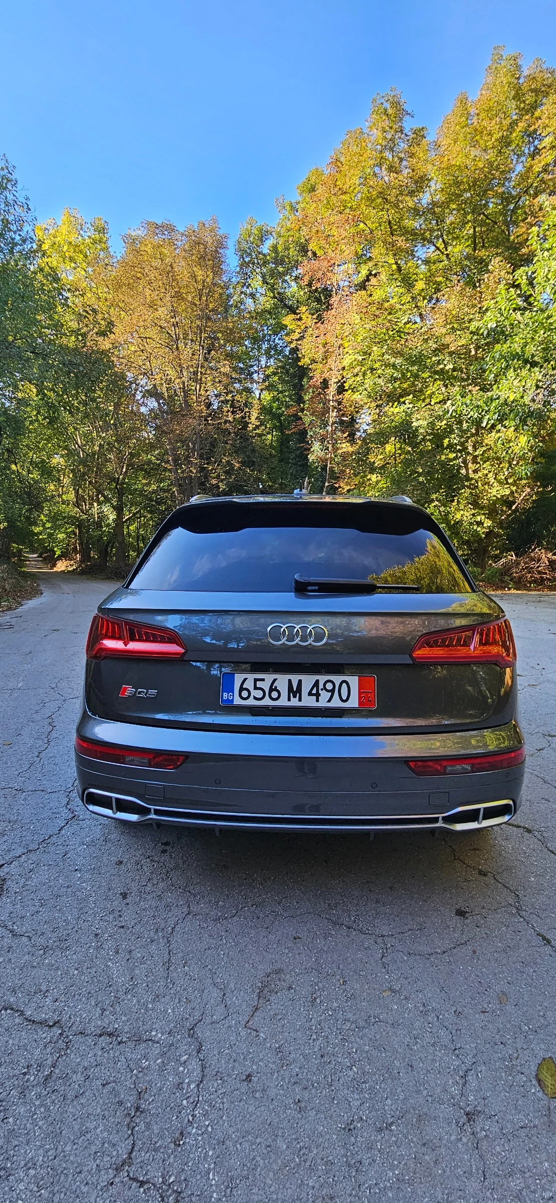 Audi SQ5, снимка 7 - Автомобили и джипове - 53916925