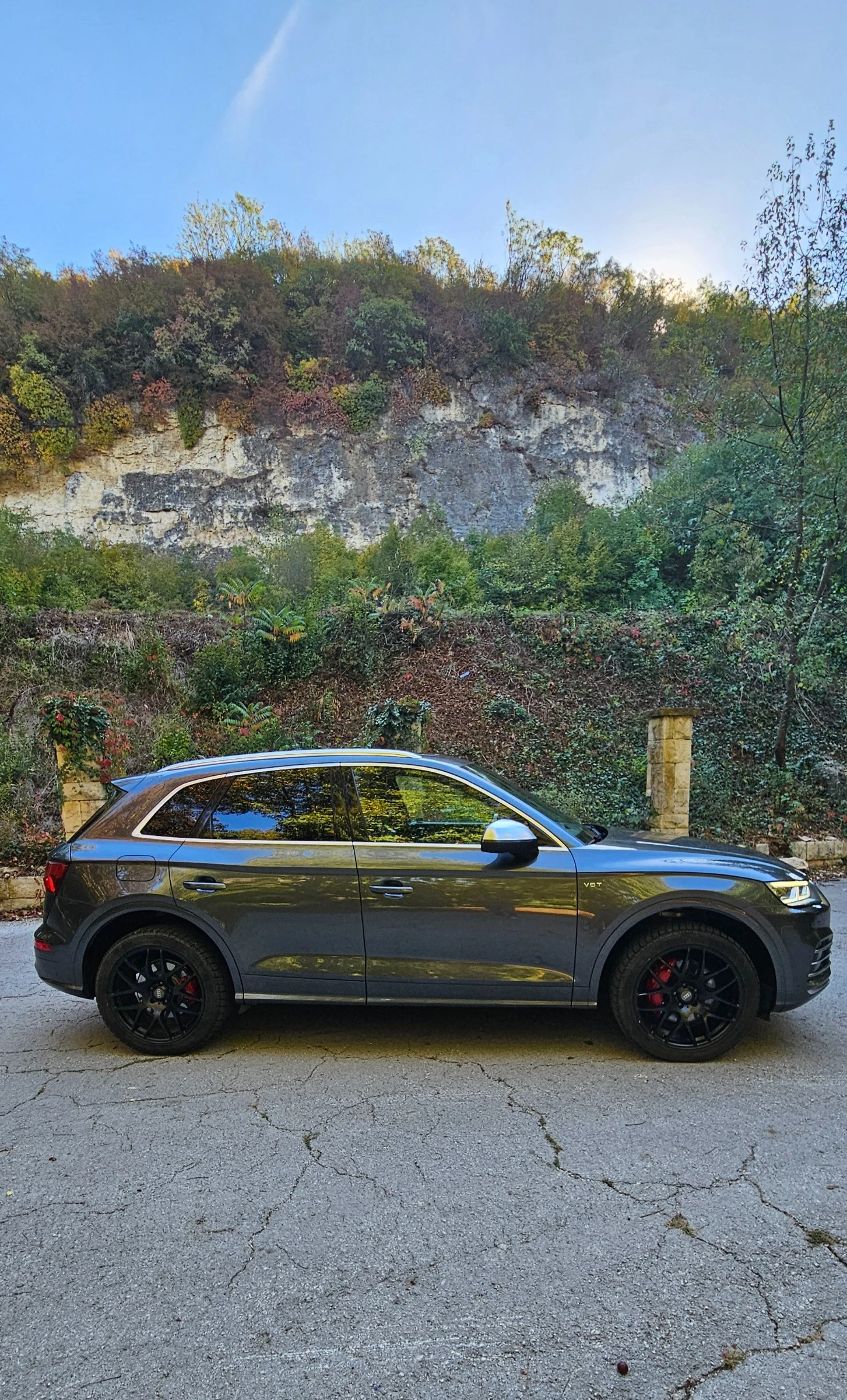 Audi SQ5, снимка 8 - Автомобили и джипове - 53916925