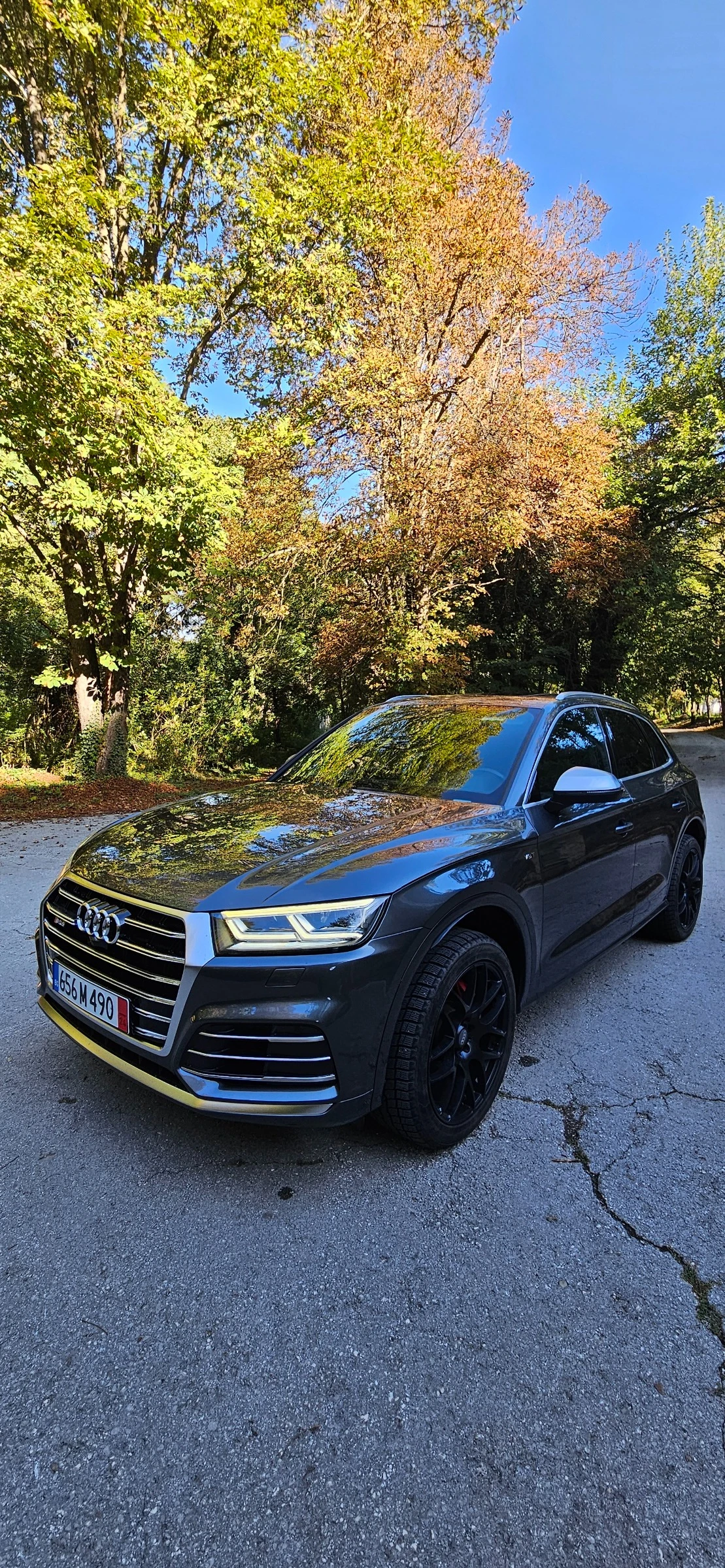 Audi SQ5, снимка 3 - Автомобили и джипове - 53916925