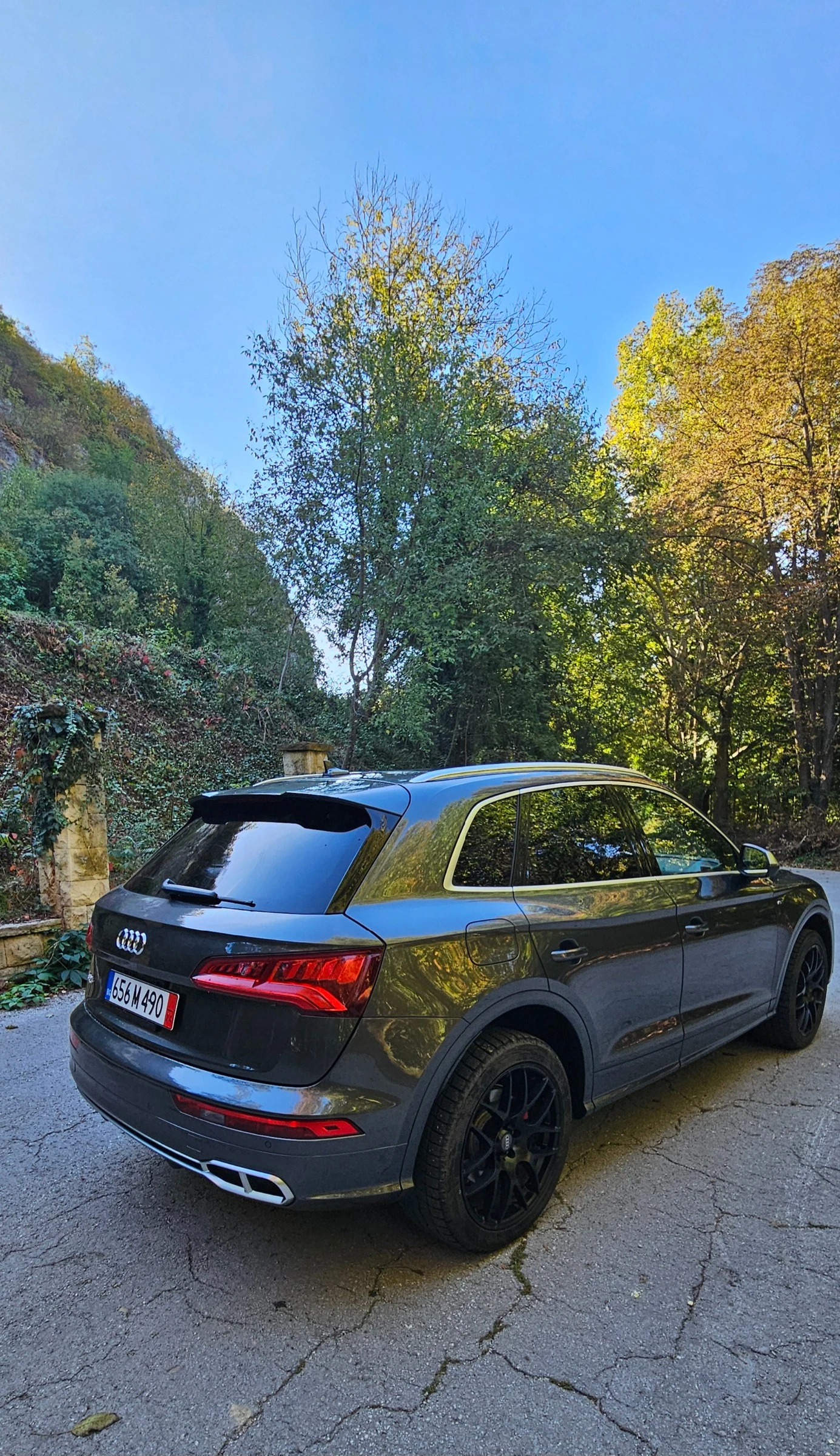 Audi SQ5, снимка 5 - Автомобили и джипове - 53916925