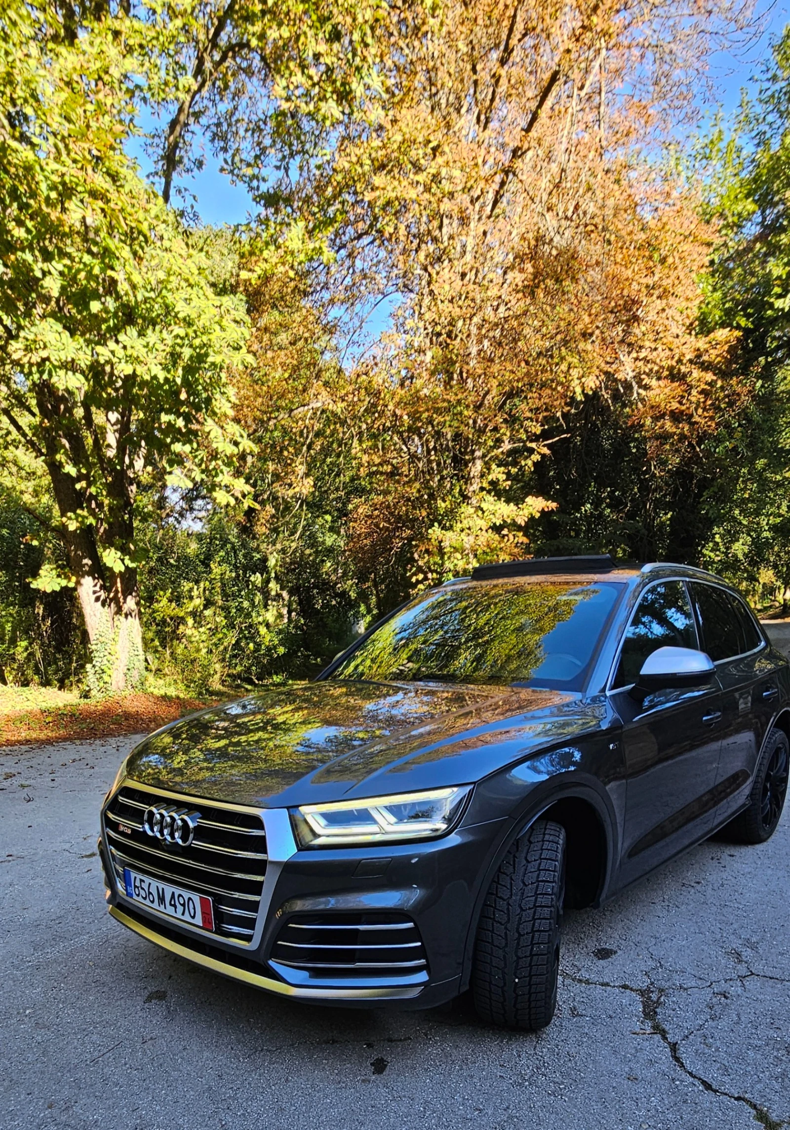 Audi SQ5