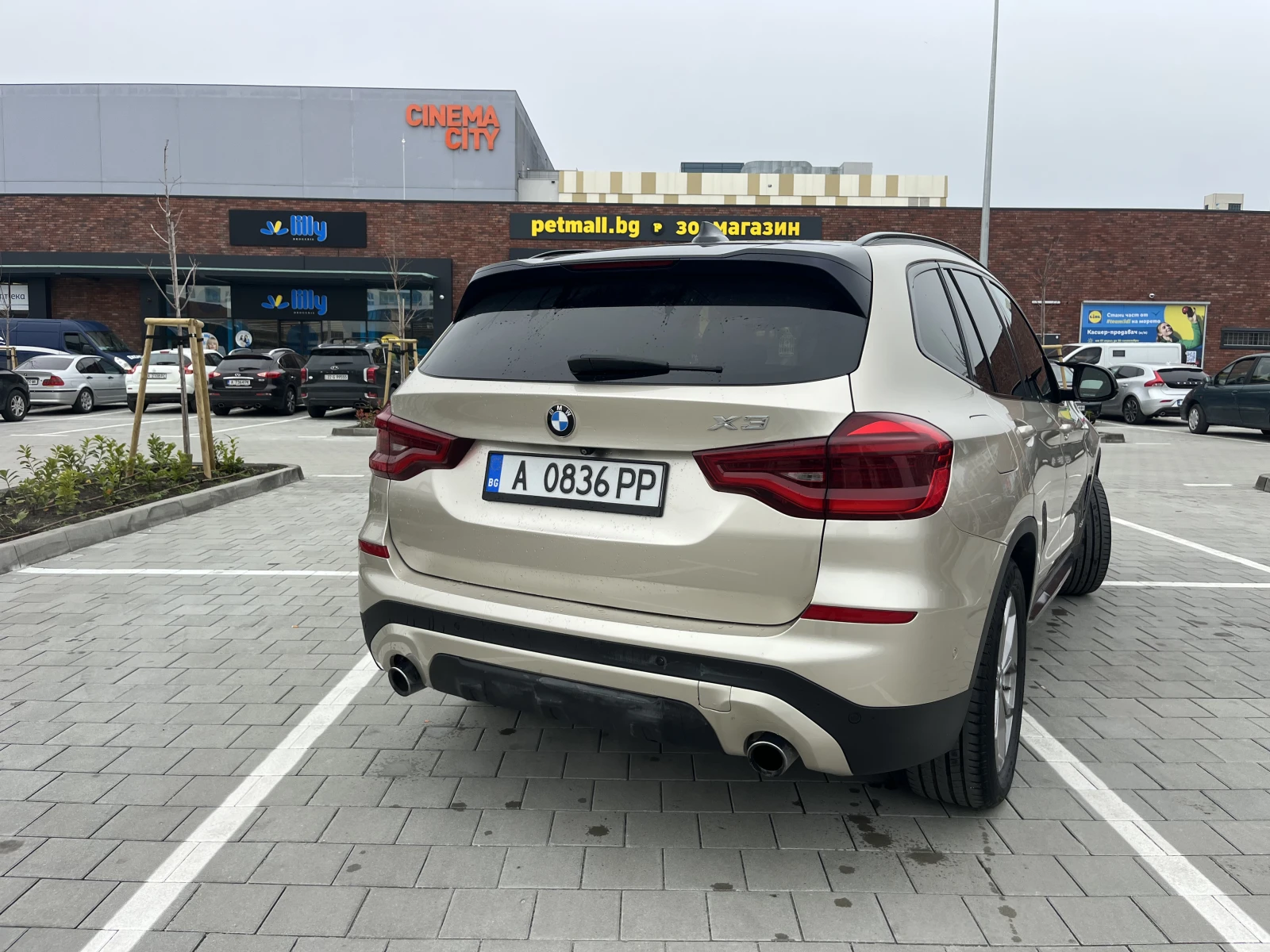 BMW X3, снимка 10 - Автомобили и джипове - 54145603