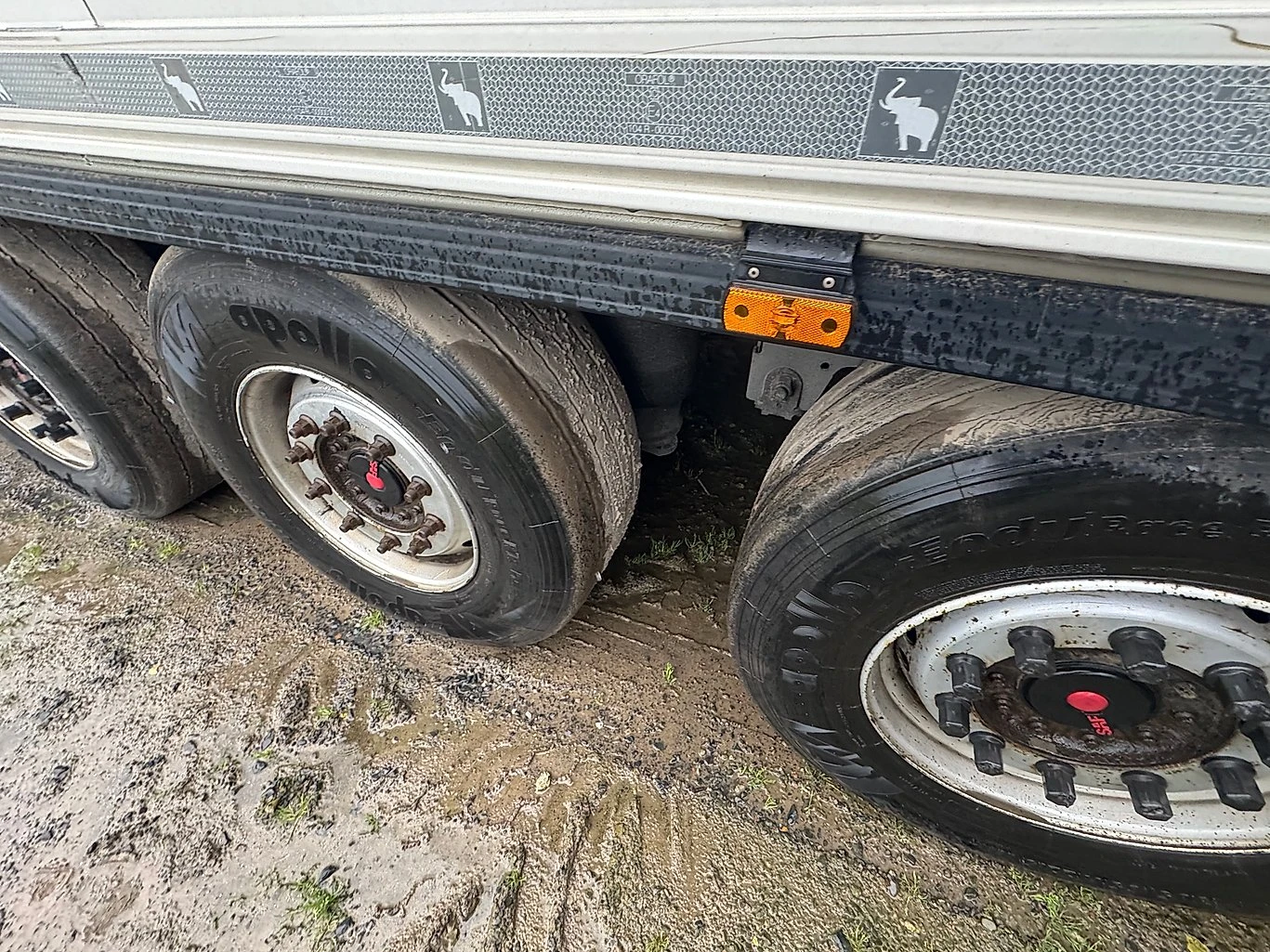 Полуремарке Schmitz ПЪТИЩА ЗА ТРУПНО МЕСО, снимка 12 - Ремаркета - 53931408