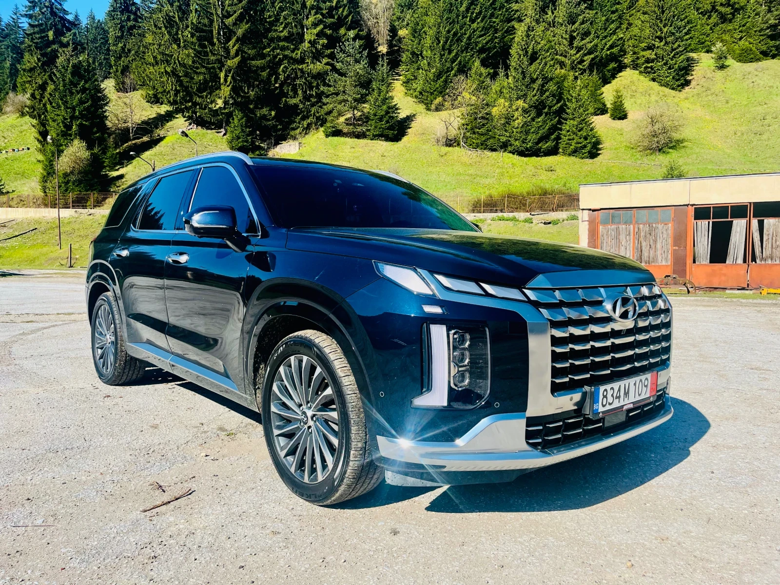 Hyundai Palisade calligraphy