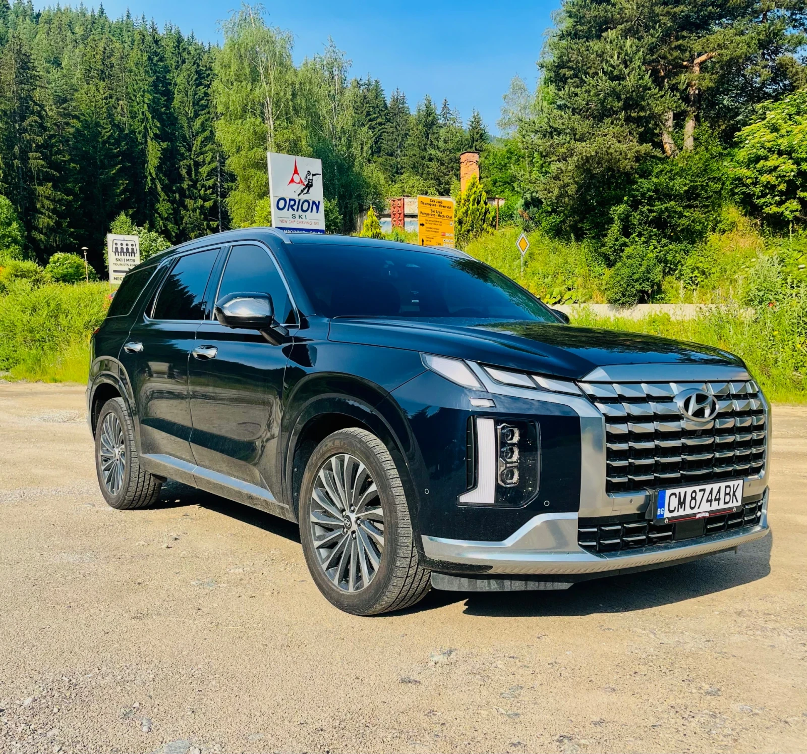 Hyundai Palisade calligraphy