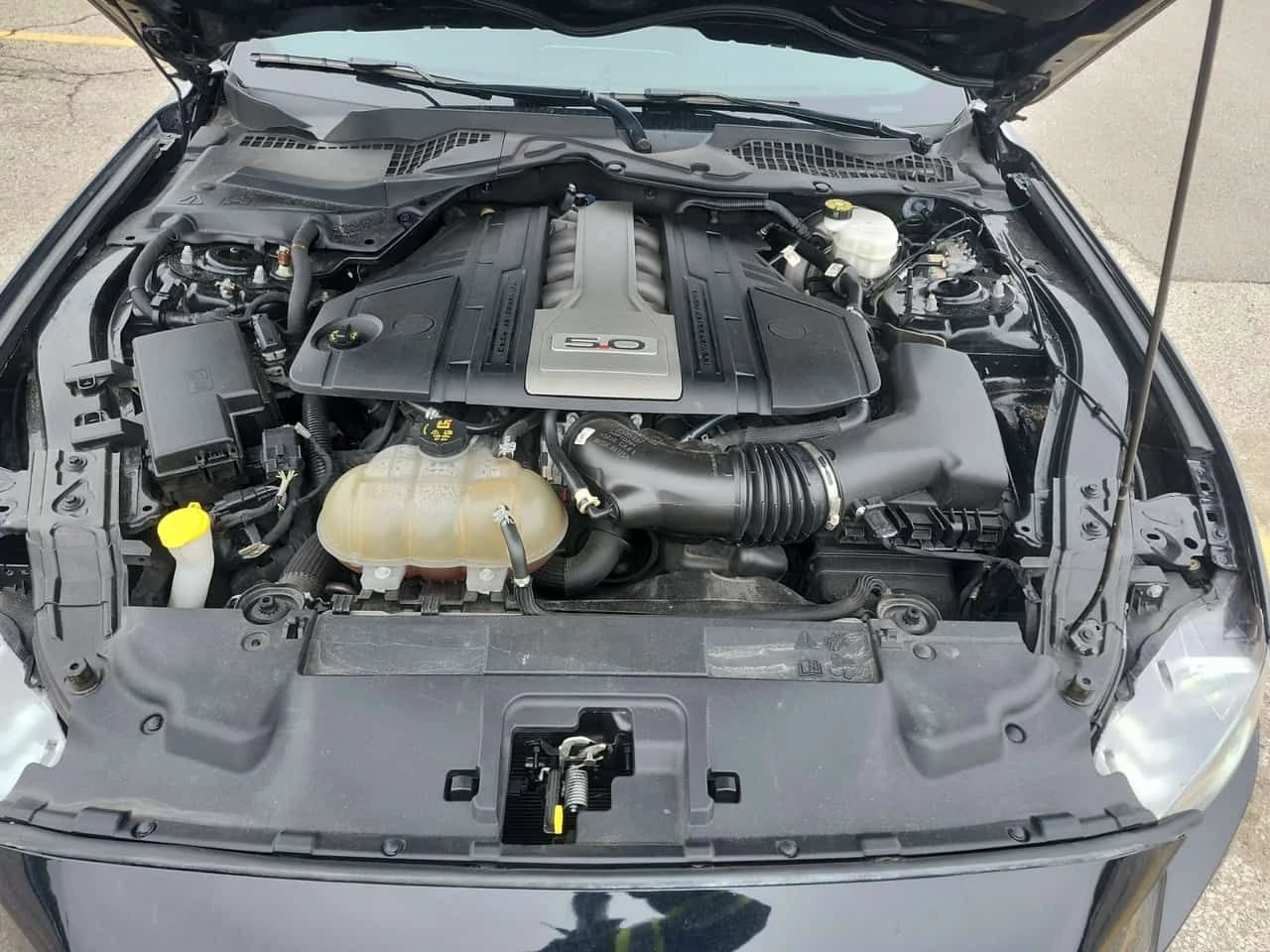 Ford Mustang * Fastback Gt Premium * CARFAX * ��������� * NAVI* | Mobile.bg � ����������� 16