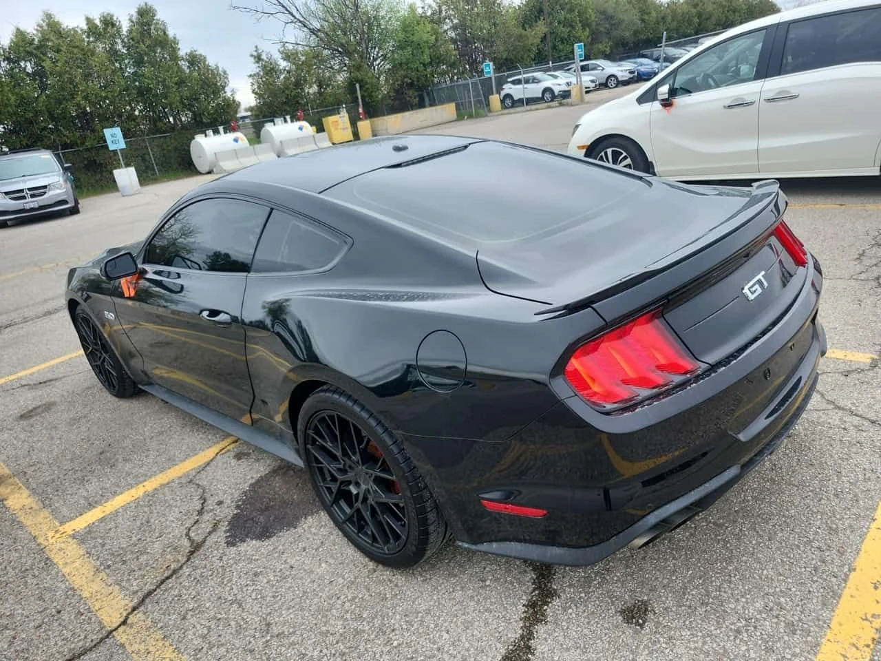 Ford Mustang * Fastback Gt Premium * CARFAX * ��������� * NAVI* | Mobile.bg � ����������� 3