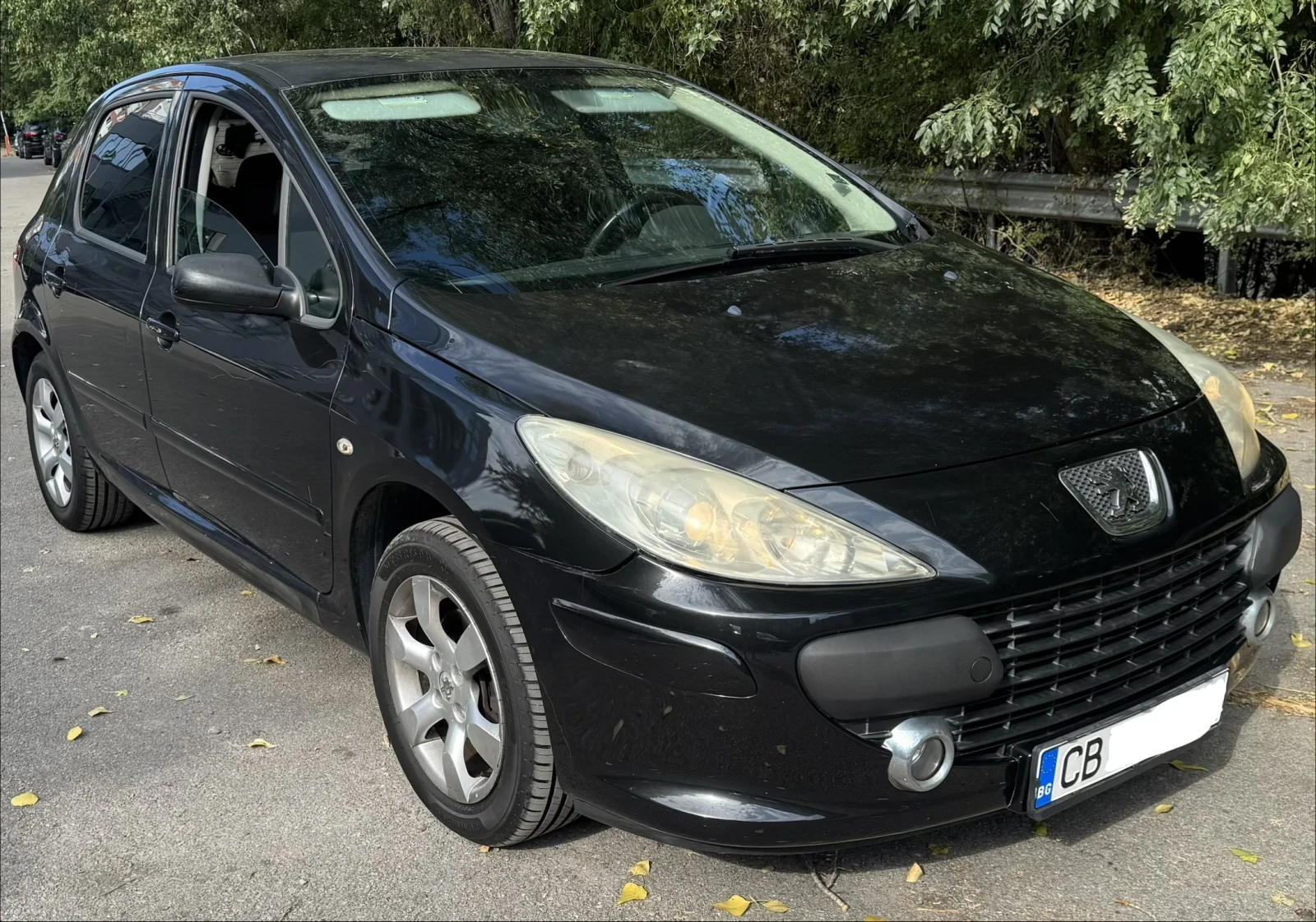 Peugeot 307 1.6 hdi, снимка 6 - Автомобили и джипове - 55775652