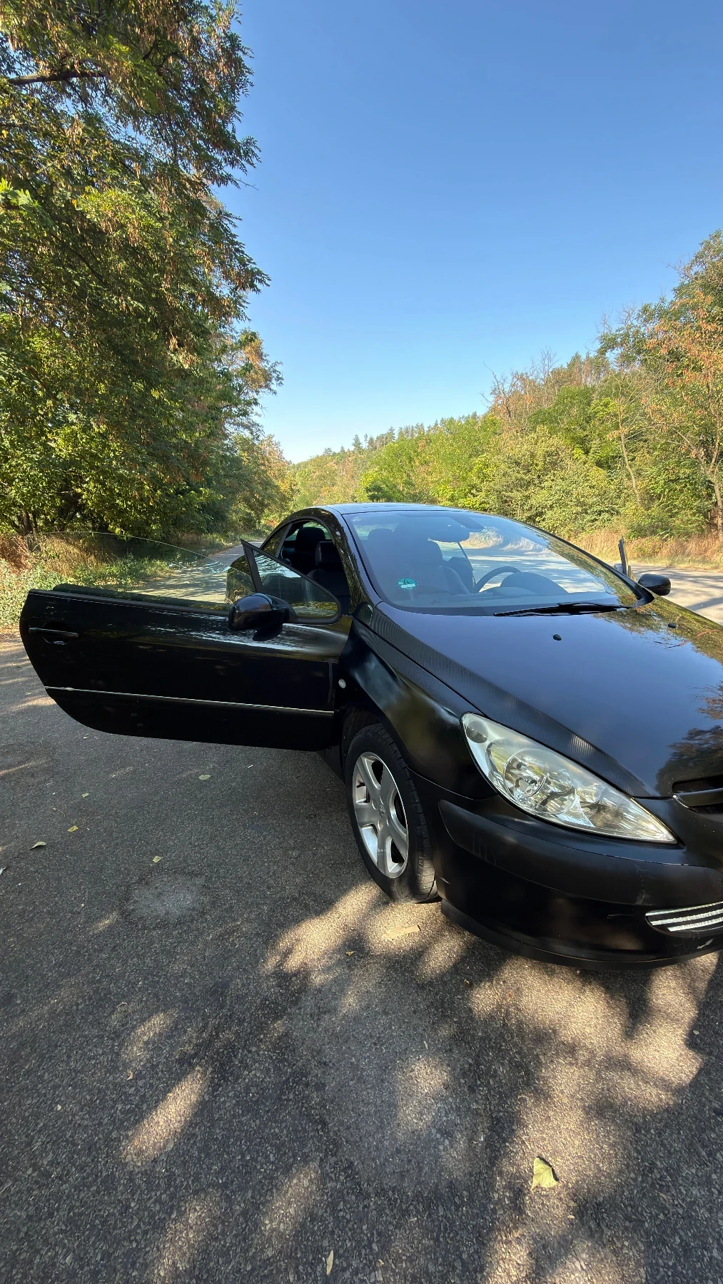 Peugeot 307, снимка 2 - Автомобили и джипове - 55728025