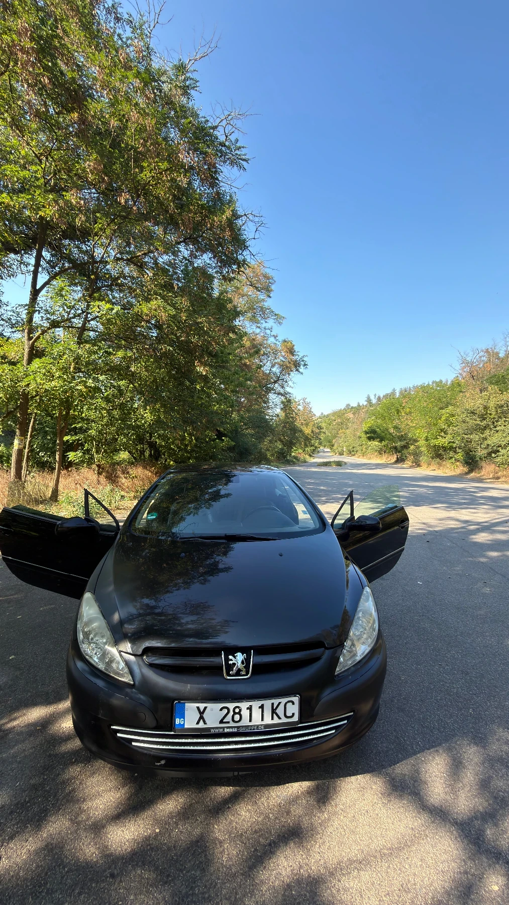 Peugeot 307