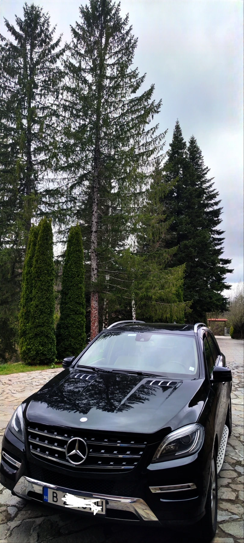 Mercedes-Benz ML 350 4matic AMG LINE - изображение 3