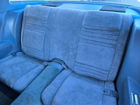 Pontiac Firebird Esprit - 27500 € / 53785.32 лв. - 40784584 13