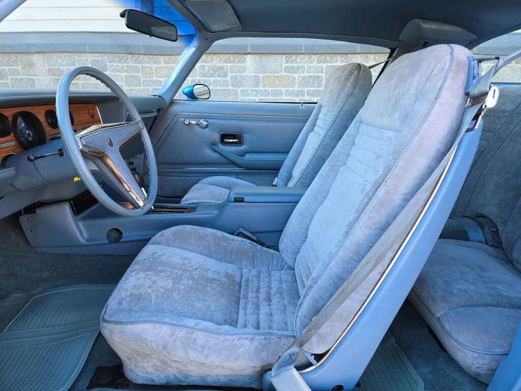 Pontiac Firebird Esprit, снимка 9 - Автомобили и джипове - 53920025