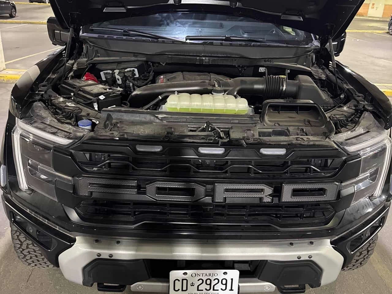 Ford F150 * Raptor * CARFAX * ��� ������������ ������ | Mobile.bg � ����������� 17
