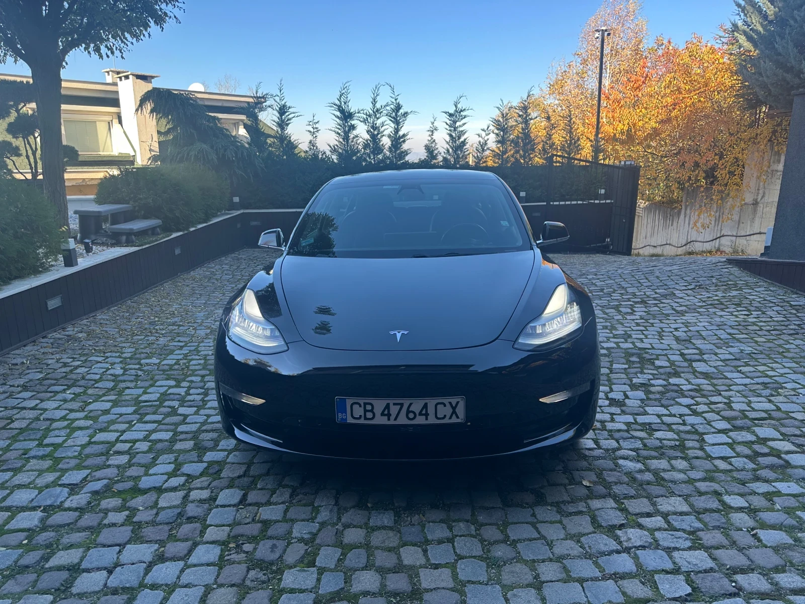 Tesla Model 3  - изображение 3