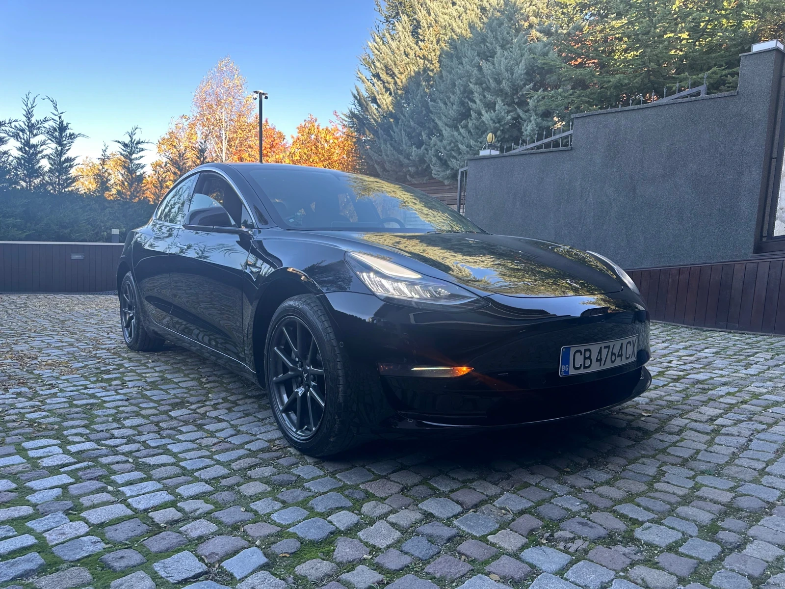 Tesla Model 3  - изображение 6