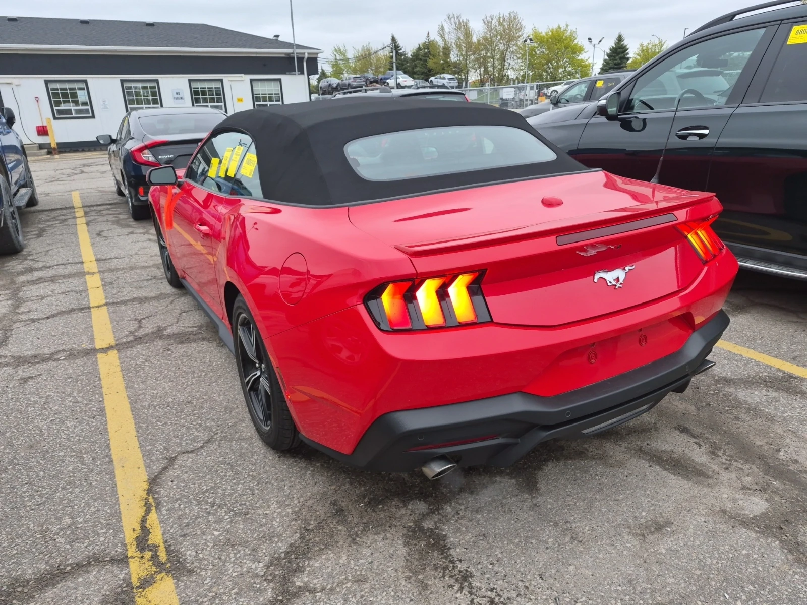 Ford Mustang, снимка 4 - Автомобили и джипове - 54576823