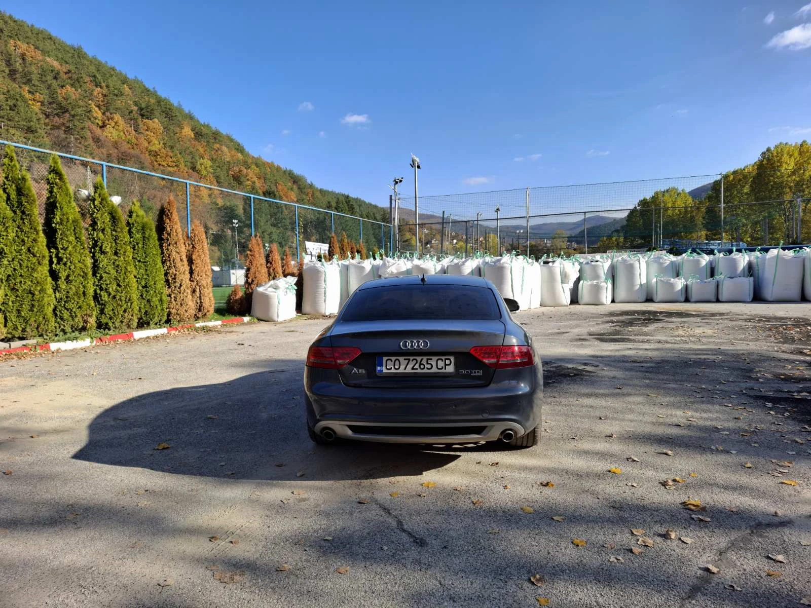 Audi A5 S Line 3.0 TDI 300 Hp - изображение 5