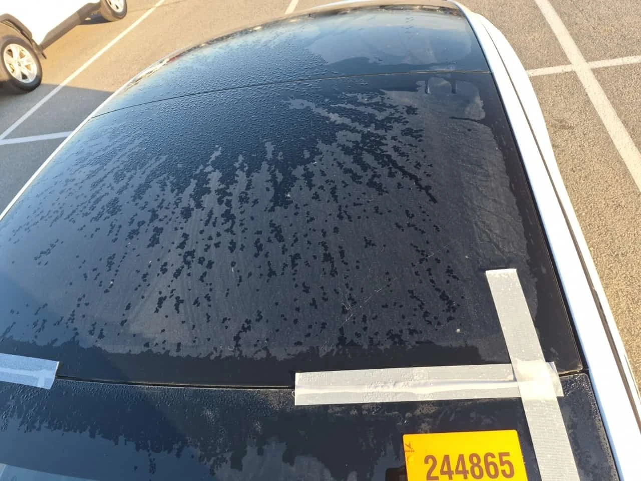 Tesla Model 3 * CARFAX * , снимка 7 - Автомобили и джипове - 56655039