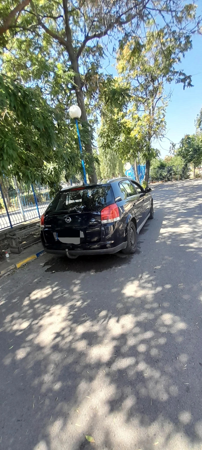 Opel Signum, снимка 2 - Автомобили и джипове - 55381386