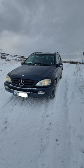 Mercedes-Benz ML 270, снимка 8