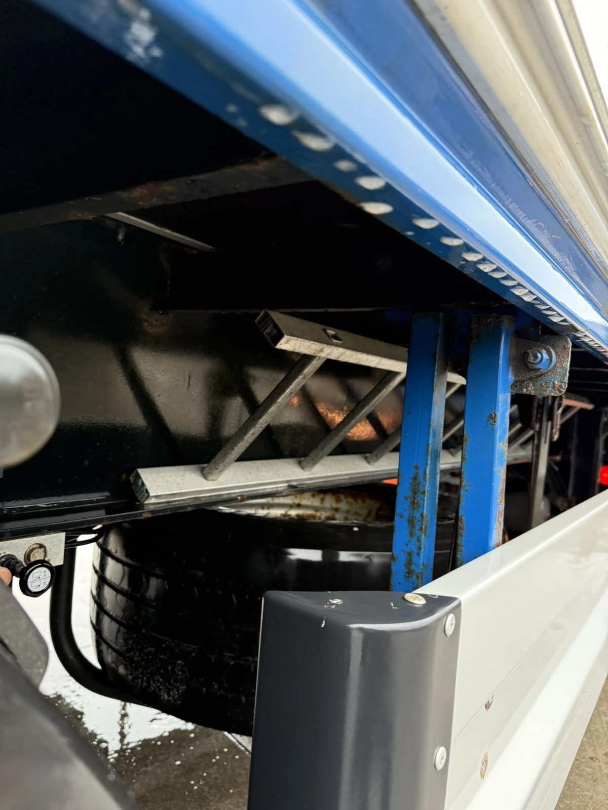   Hangler - 3 ,      | Mobile.bg   11