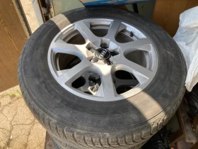 ������ ���� � ������