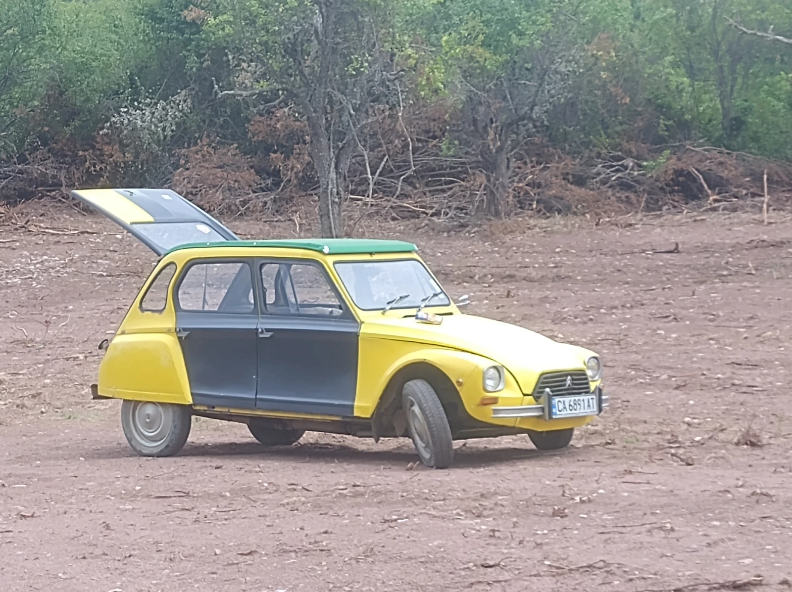 Citroen 2cv Dyane 6