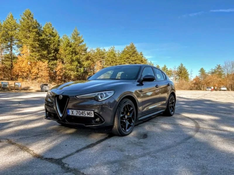 Alfa Romeo Stelvio 2.2, снимка 16 - Автомобили и джипове - 49801654