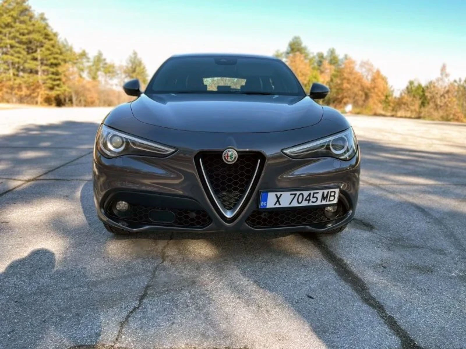 Alfa Romeo Stelvio 2.2 | Mobile.bg   15