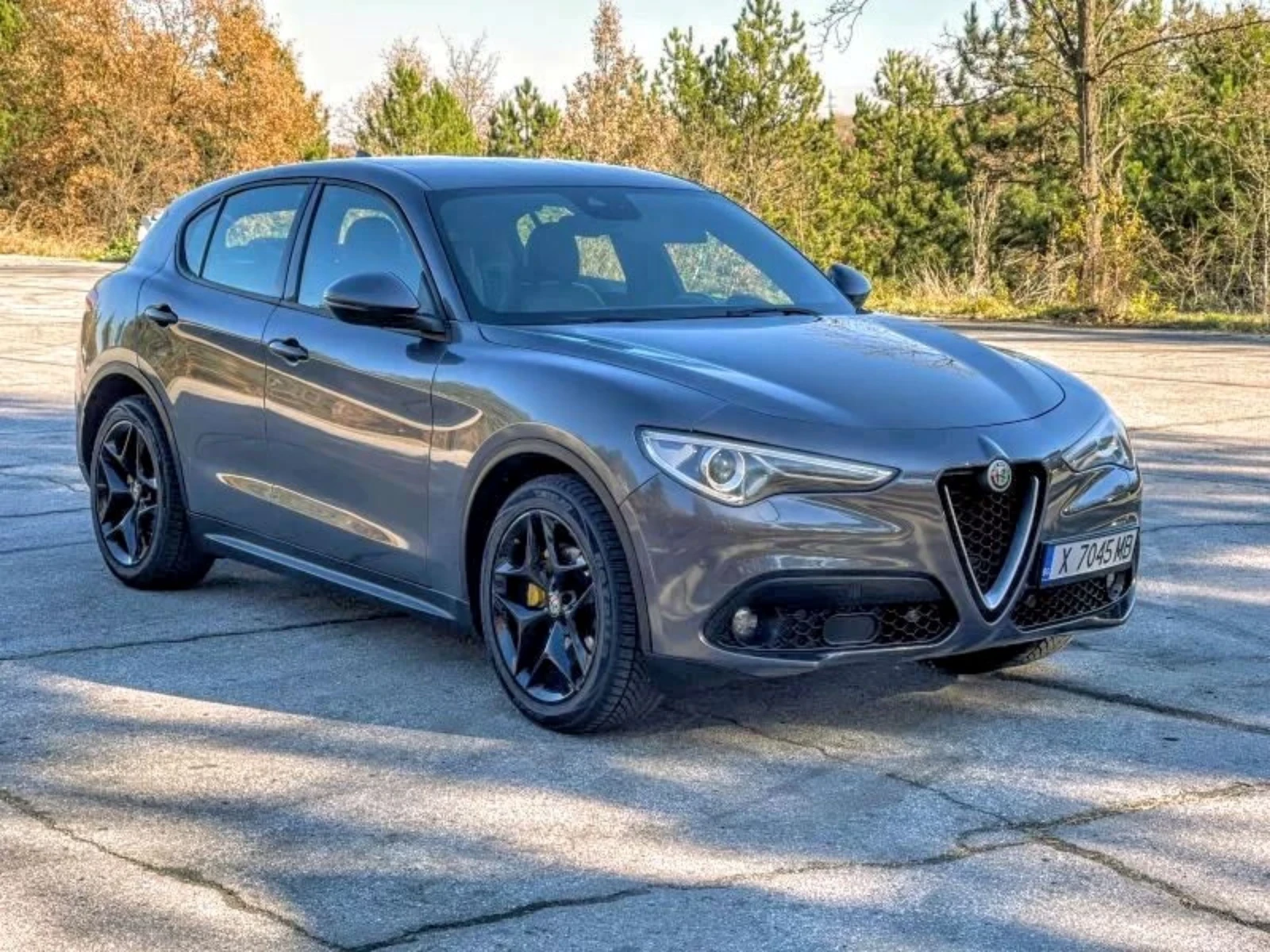 Alfa Romeo Stelvio 2.2 | Mobile.bg   1
