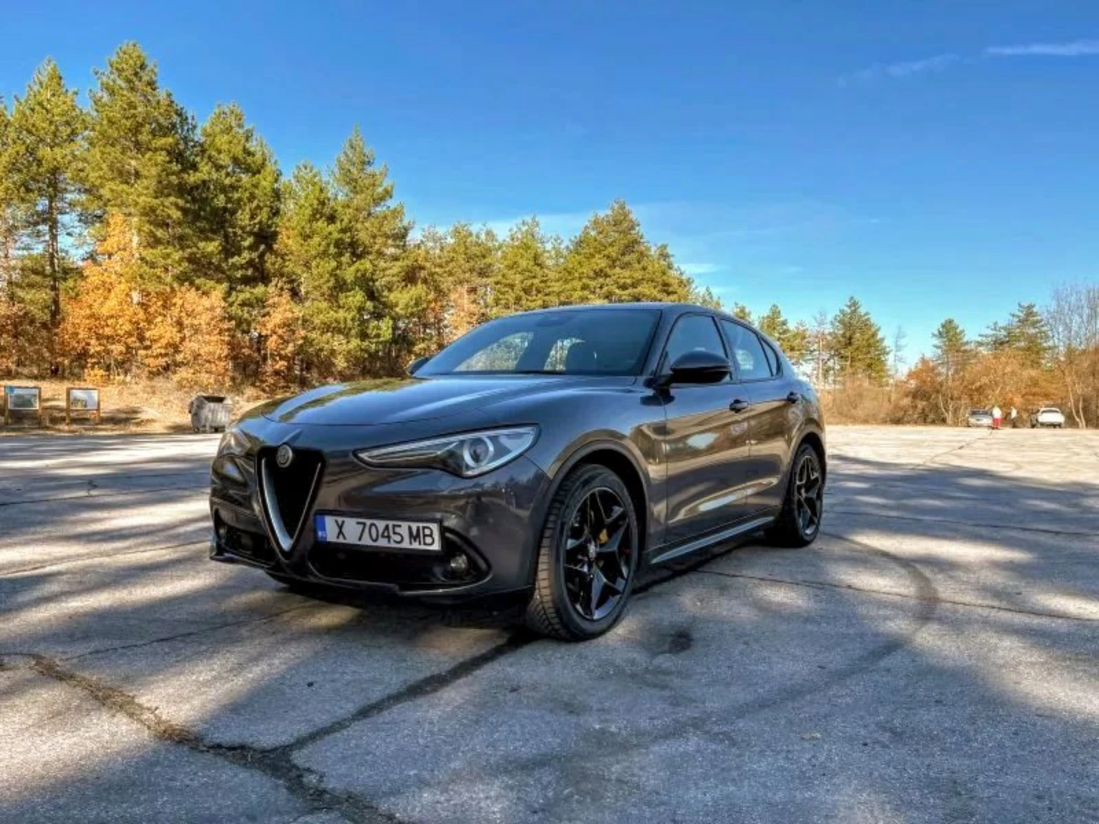 Alfa Romeo Stelvio 2.2 | Mobile.bg   16