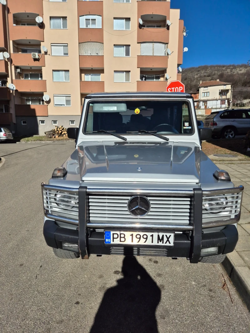 Mercedes-Benz G 300, снимка 1 - Автомобили и джипове - 48925861