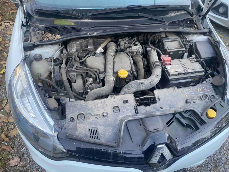 Renault Clio N1 от Рено България, снимка 14 - Автомобили и джипове - 48139774