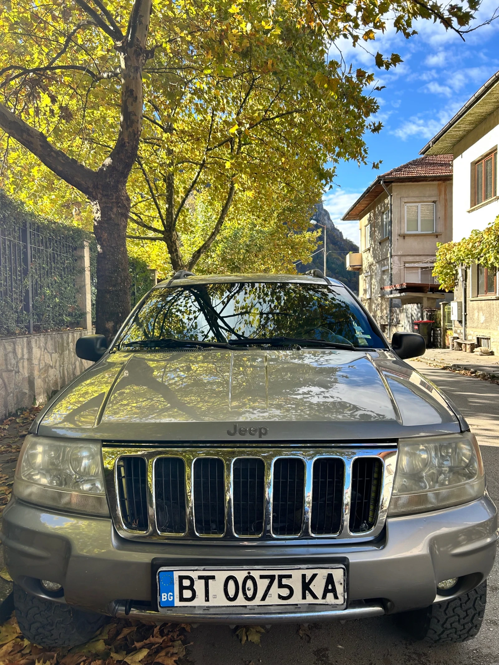 Jeep Grand cherokee 4.0 | Mobile.bg   1