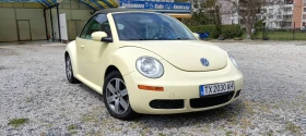 VW Beetle 